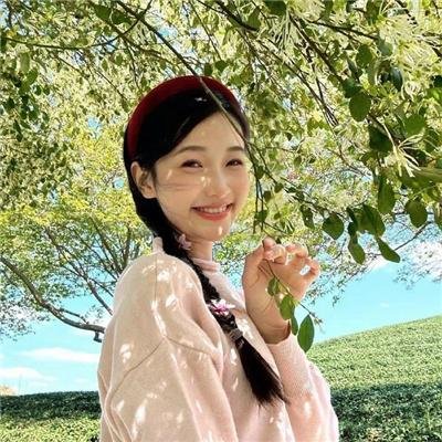 边塞丽春花